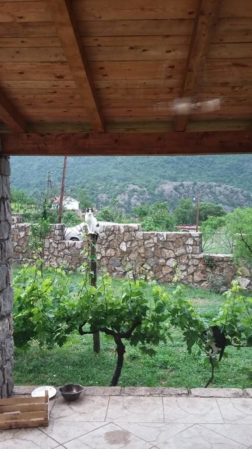 Апартаменты Vila Pegaz Вирпазар-41