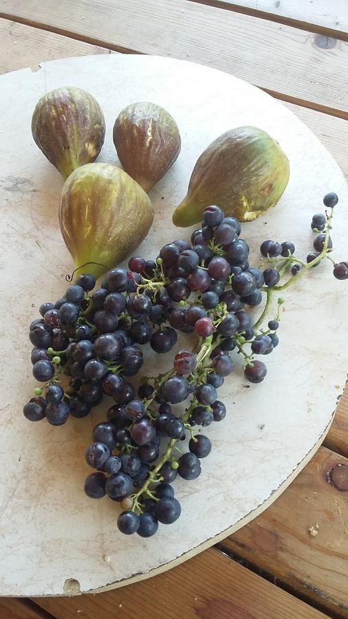 Апартаменты Vila Pegaz Вирпазар-44