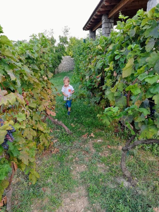 Апартаменты Vila Pegaz Вирпазар-11