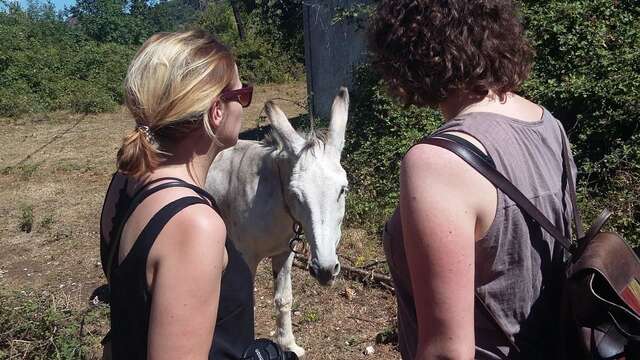 Апартаменты Vila Pegaz Вирпазар-24