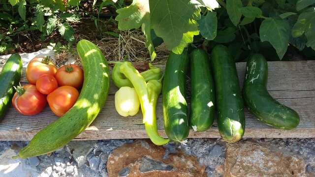 Апартаменты Vila Pegaz Вирпазар-26