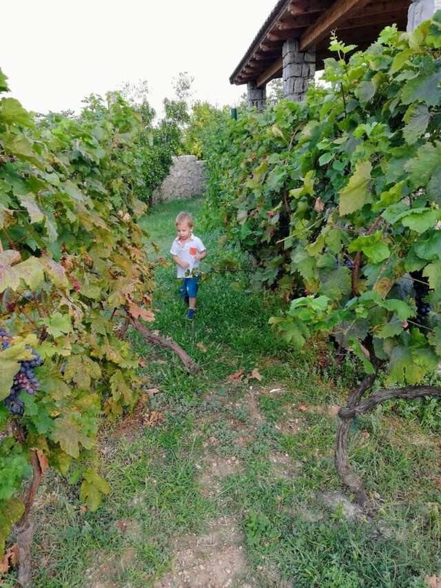 Апартаменты Vila Pegaz Вирпазар-10